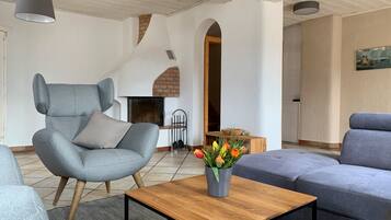 TV, fireplace, books