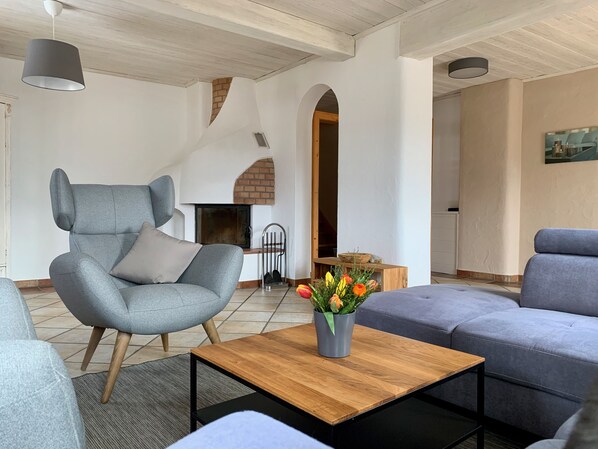 Televisión, chimenea y libros 