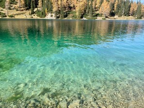Un lac aux eaux limpides, où l’on peut apercevoir des rochers, et dont les rives sont bordées d’une forêt.