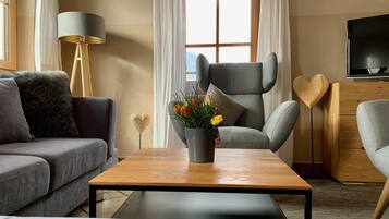 TV, fireplace, books