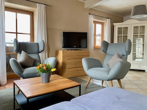 Televisión, chimenea y libros 