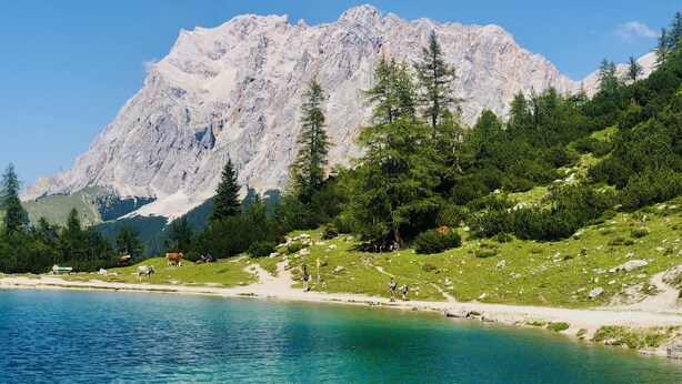 Un paysage de montagne avec un lac aux eaux limpides, un terrain rocheux et une forêt dense.