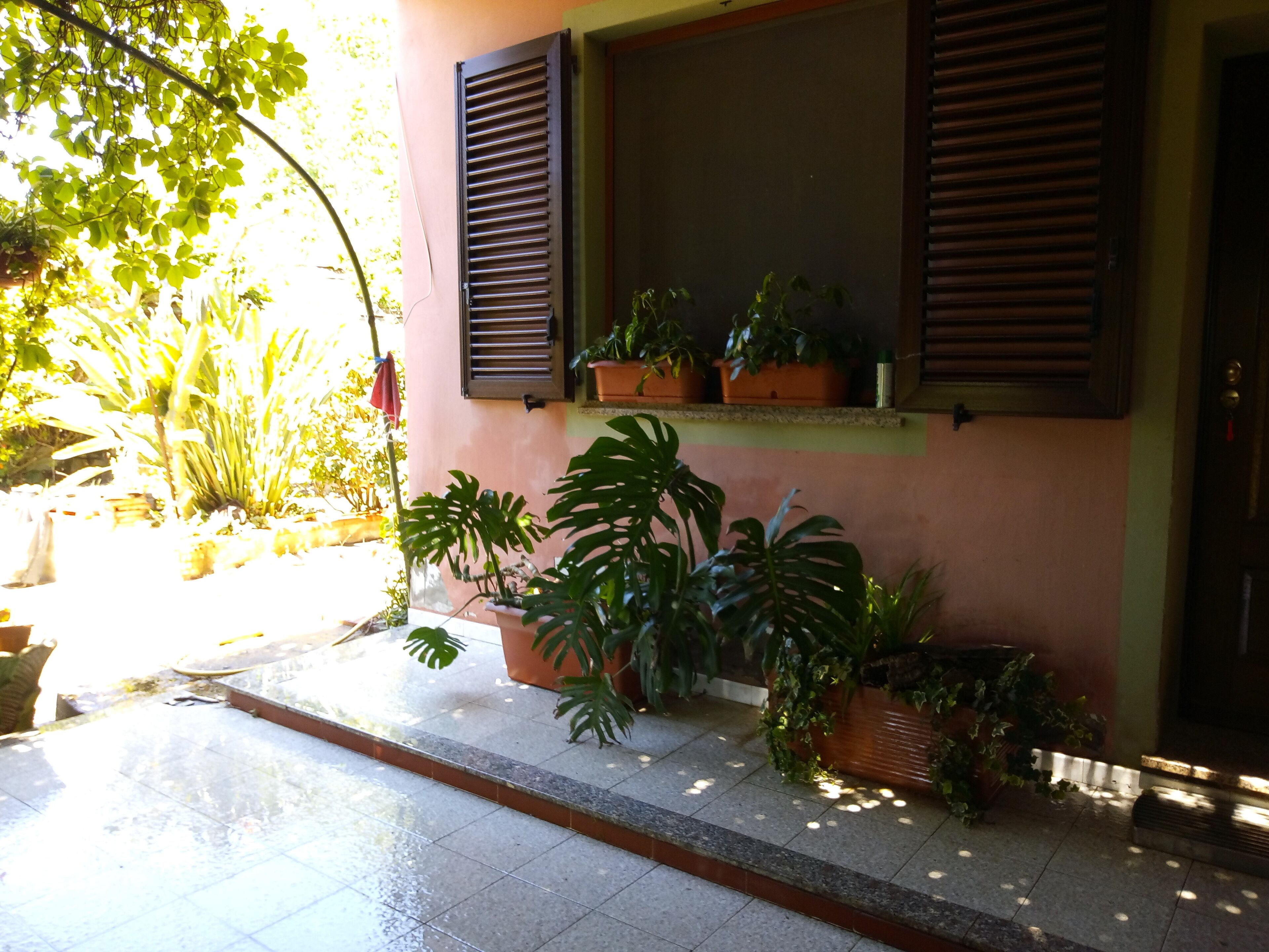 A building with a pink facade, a window with closed shutters, and potted plants on the ground level.