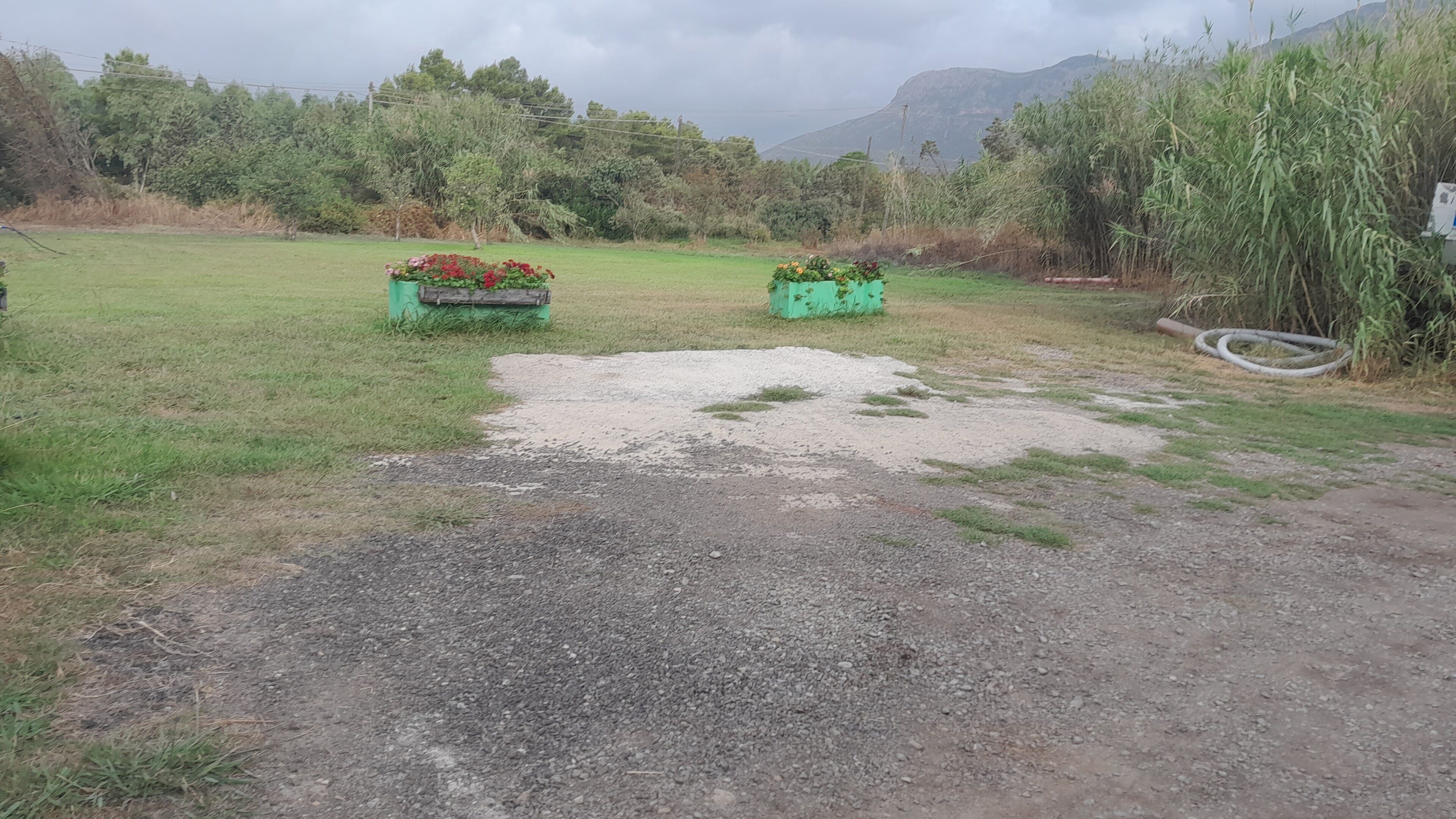 A gravel path leading to a green area with two flower planters.