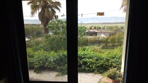 Uitzicht door een raam met gordijnen, met een palmboom, groen en een gebouw in de verte.