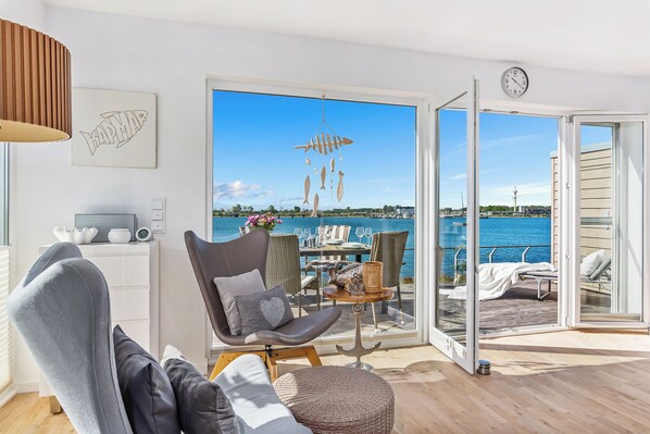 TV, DVD player, books