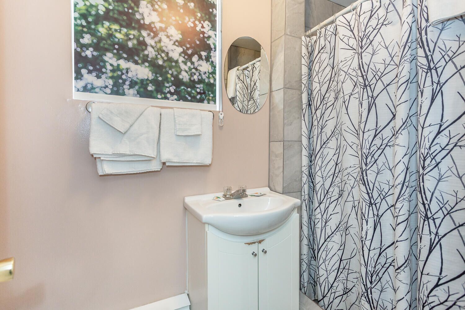A bathroom with a white sink, a mirror, and a shower curtain with a tree pattern.