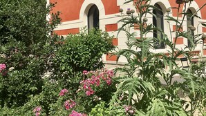 A building with a red facade and white trim, featuring arched windows and a balcony. - Le clos de la Pomponnette (Pomponne)