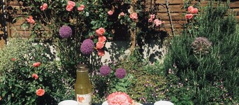 Le clos de la Pomponnette