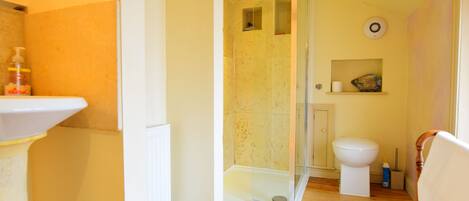 A bathroom with a glass-enclosed shower, a white sink, and a toilet.