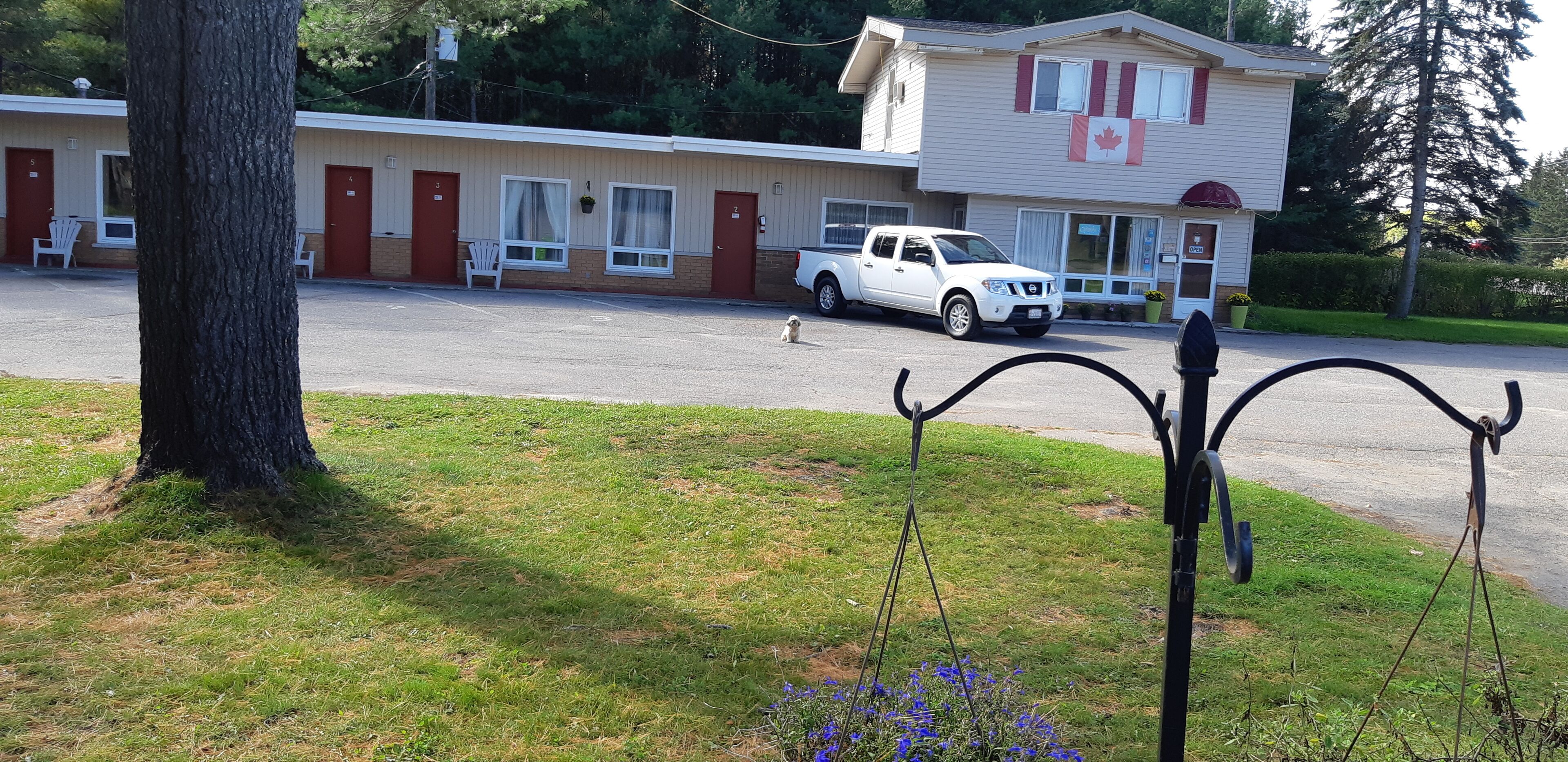 A motel with numbered rooms, a white pickup truck parked in front, and a large tree in the foreground.