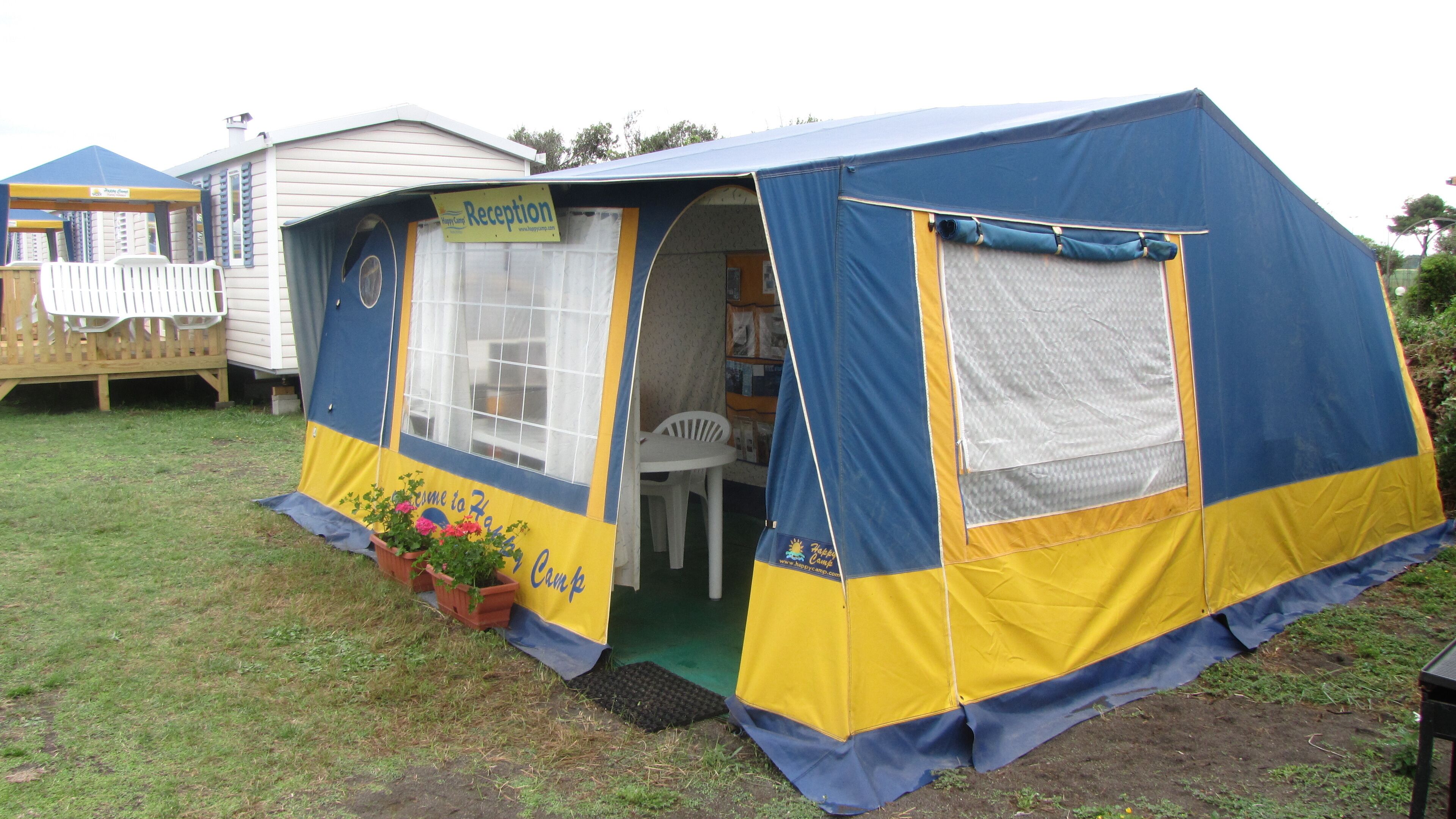 A blue and yellow tent with a reception sign, a small table, and potted plants outside.