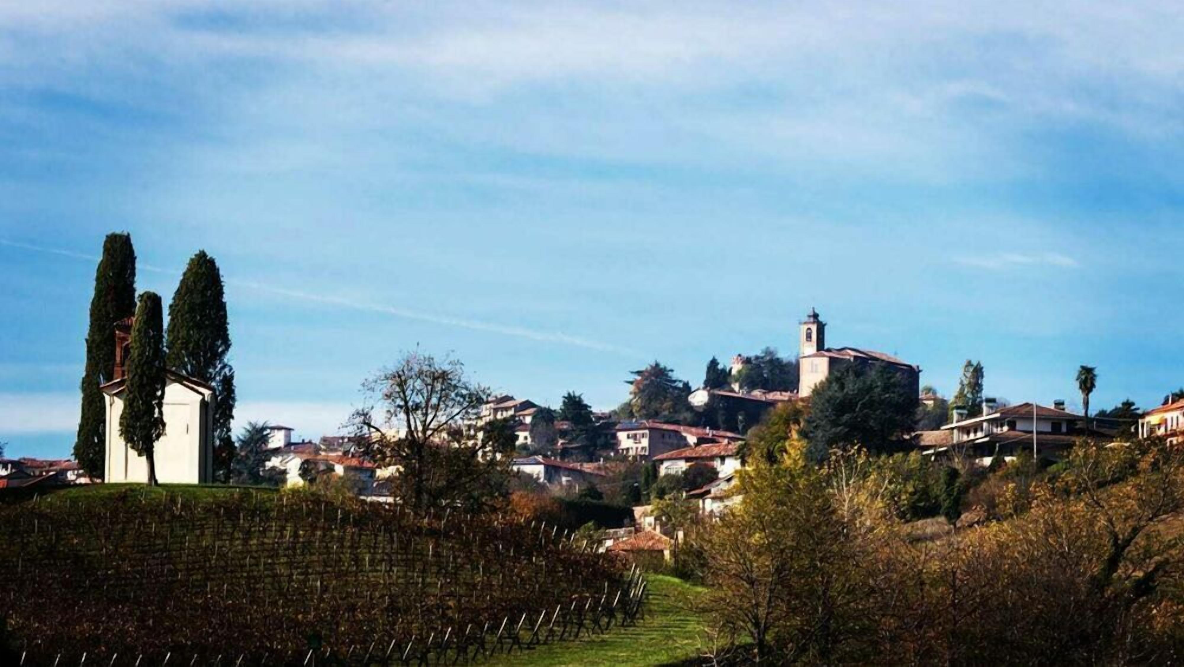 A hillside village with traditional buildings, a church, and vineyards.