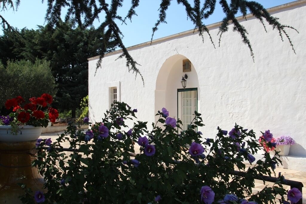 Àrea exterior de l'allotjament