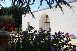Property grounds - Delightful 5 Bed Trullo/Villa With Private Pool in the Countryside of Puglia (Ceglie Messapica)