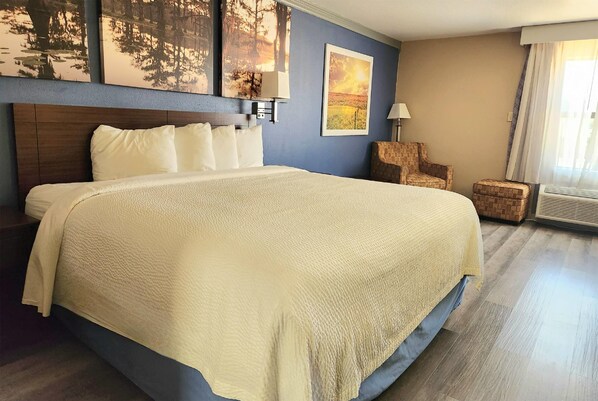 Room, 1 King Bed, Accessible, Non Smoking (Roll-In Shower)