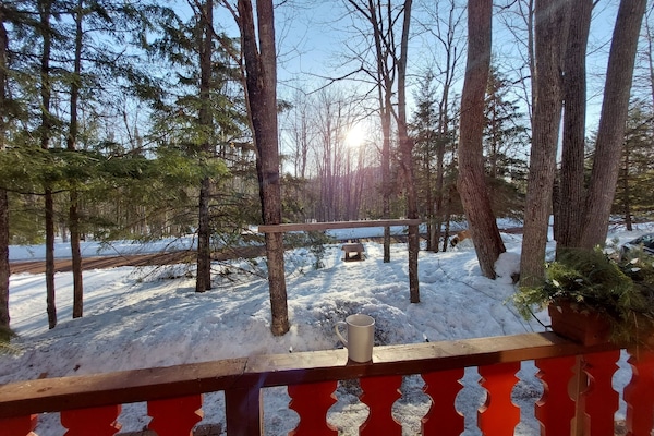 First spring morning of 2022