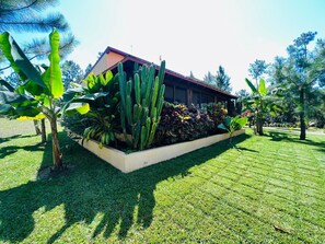 Property grounds - Villa with A/C & Pool in Mountain Pine Ridge. GOLD STANDARD CERTIFIED.  (Mountain Pine Ridge)