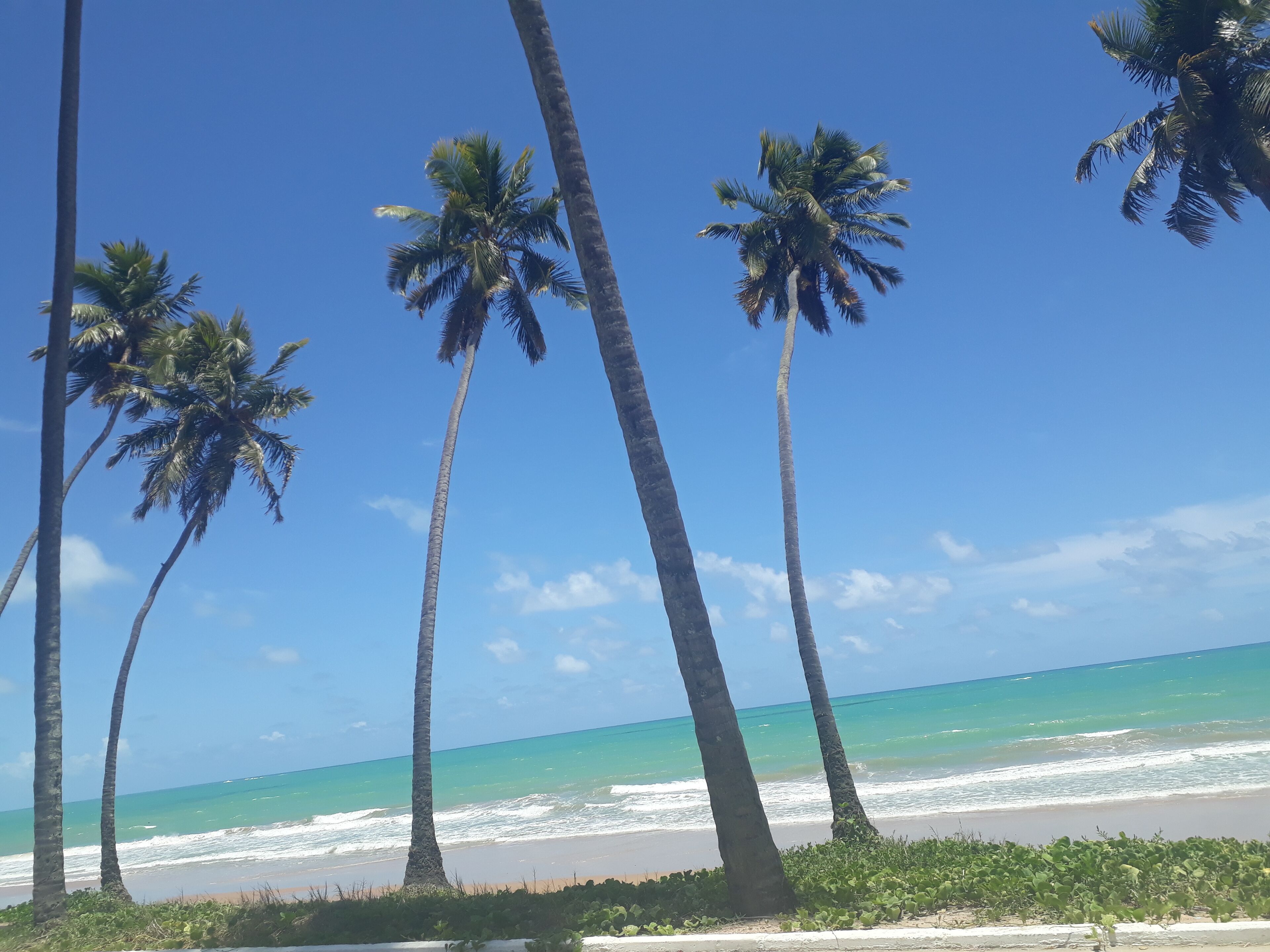 Photo - Pousada e Hostel Boneca de Pano