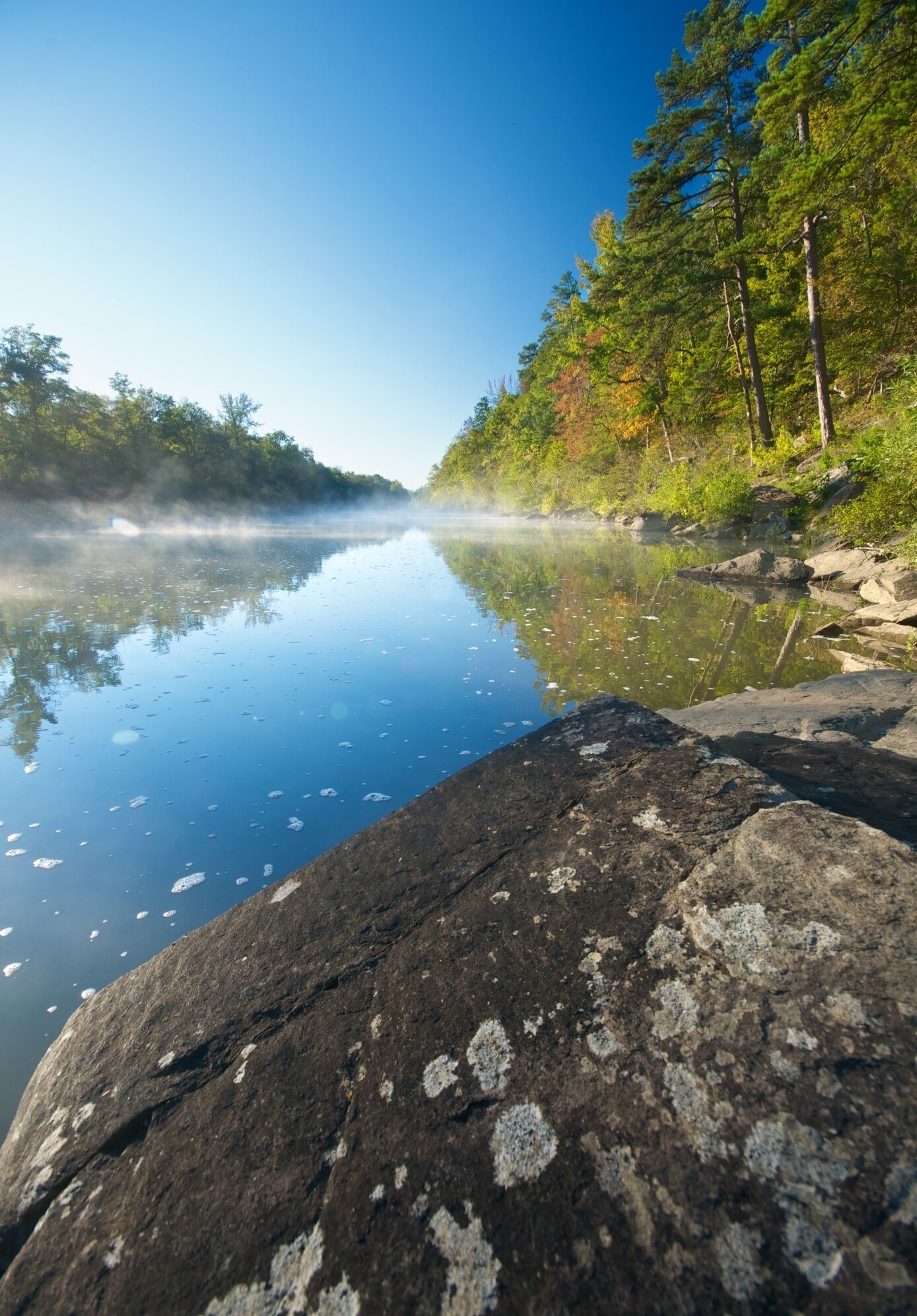 Cabin # 6- The Vine @ River’s Bend Resort