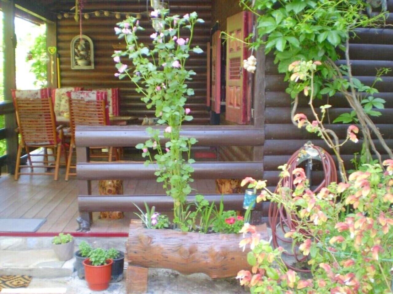 Terrasse/patio