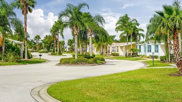 Zona residencial con palmeras, una entrada de vehículos curvada y casas de fachadas claras.