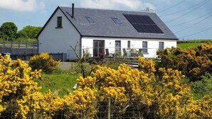 Een wit huis met een grijs dak, zonnepanelen en een omheinde tuin met bloeiende gele struiken.