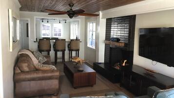 Smart TV, fireplace, books, video library