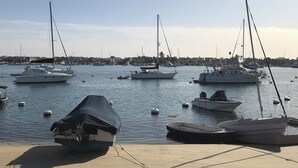 A marina with several sailboats docked, a covered boat in the foreground, and a residential area in the background.