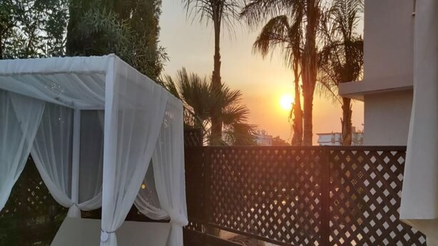 En balkon med hvid markise og espalier, der vender ud mod palmer og en solnedgang.