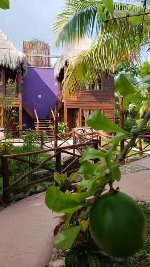 Jardín
