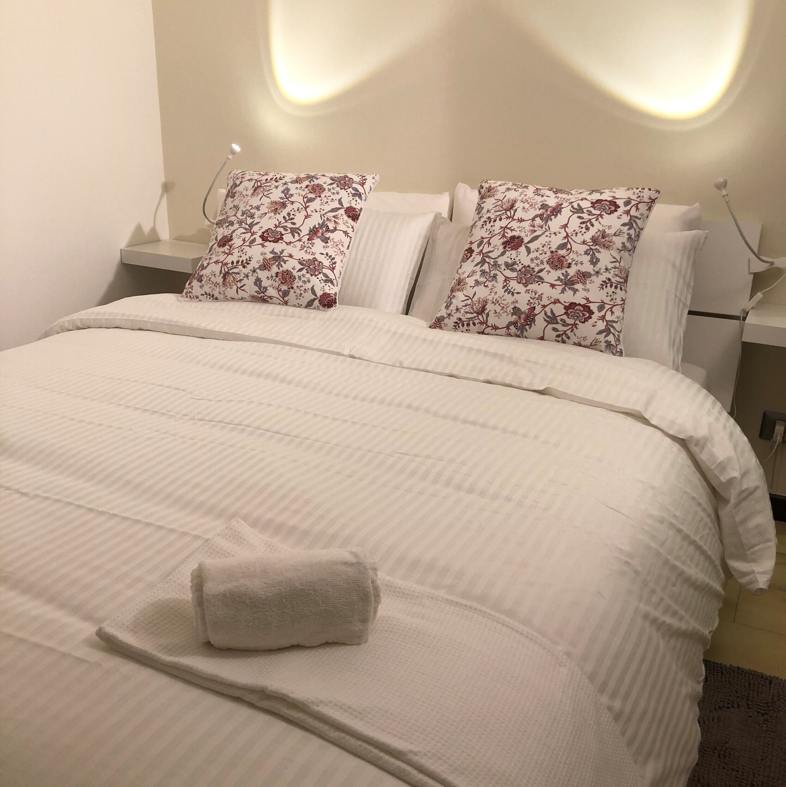  Cat on the Moon, at the door of the Langhe 