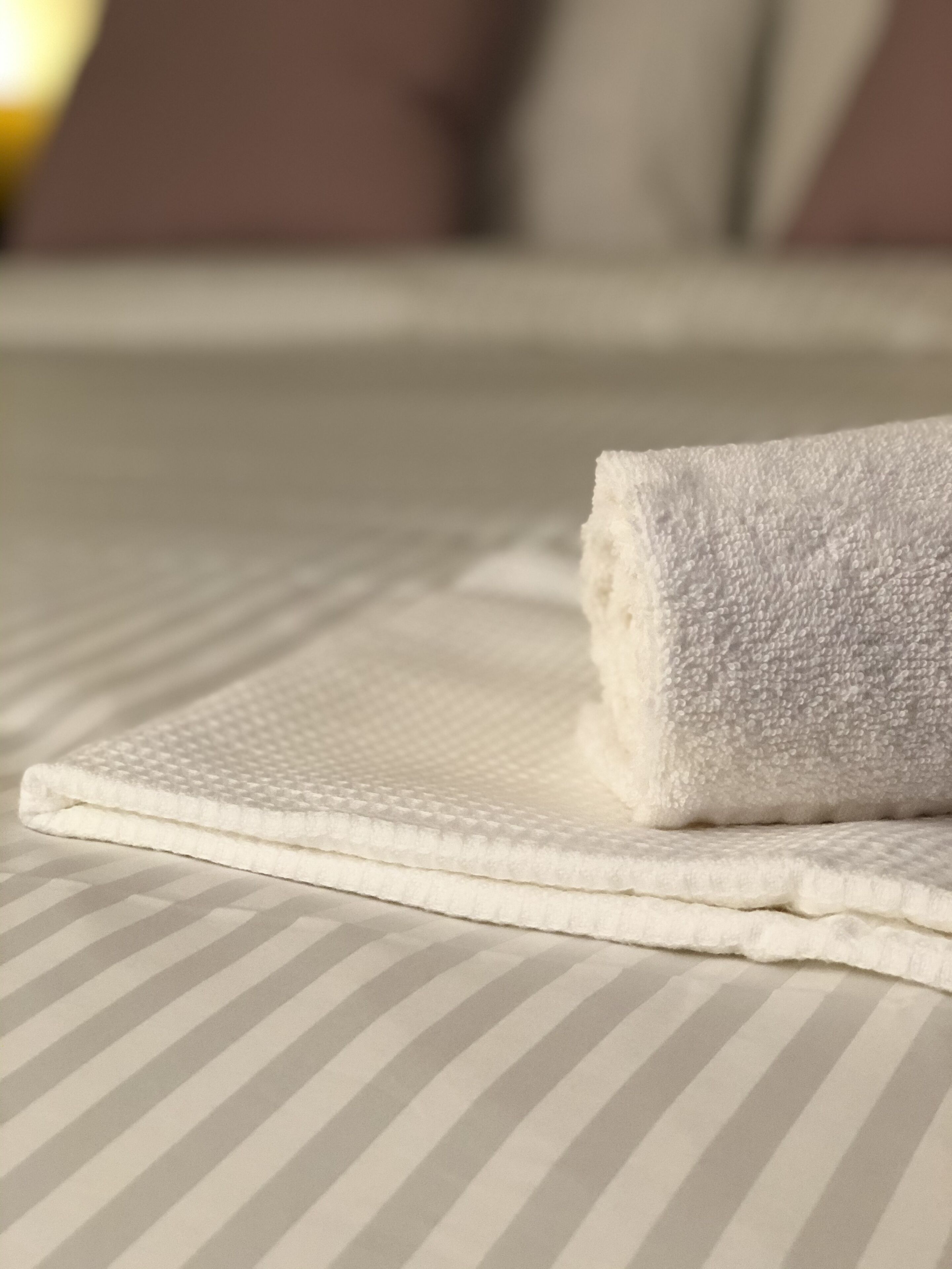  Cat on the Moon, at the door of the Langhe 