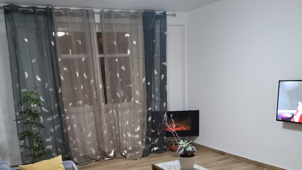 Una sala de estar con un sofá, una mesa de centro, un televisor y una planta.