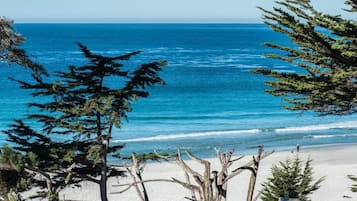 Villa, varias camas (LX22: Luxury Estate Carmel By The Sea) | Playa | Playa en los alrededores