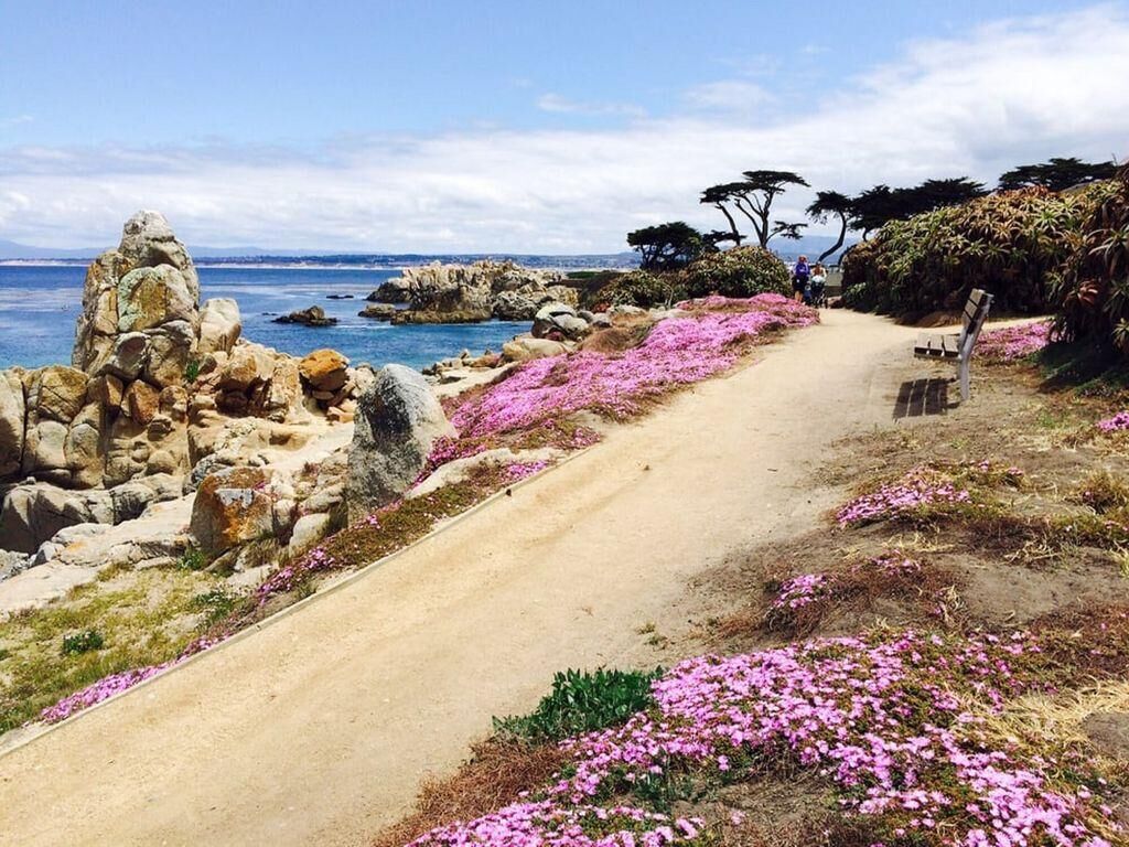 House, Multiple Beds (MV6: 30 night minimum Lover's Point M) | Beach | Beach nearby