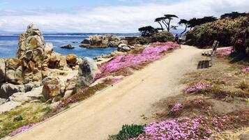 House, Multiple Beds (MV6: 30 night minimum Lover's Point M) | Beach | Beach nearby