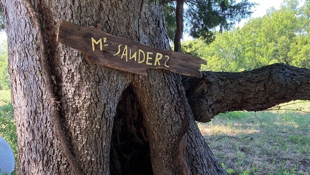 Uma placa de madeira com a inscrição 'Mr. JAYDER' fixada no tronco de uma árvore, com uma plataforma de madeira que leva a uma cavidade.