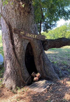 Une pancarte en bois portant l’inscription « M. JAYDER » est fixée au tronc d’un arbre, et une plateforme en bois mène à une cavité.