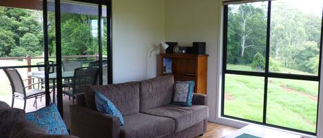 Télévision, cheminée, lecteur de DVD, livres