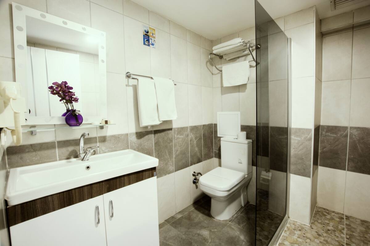 A bathroom with a sink, mirror, toilet, and shower.