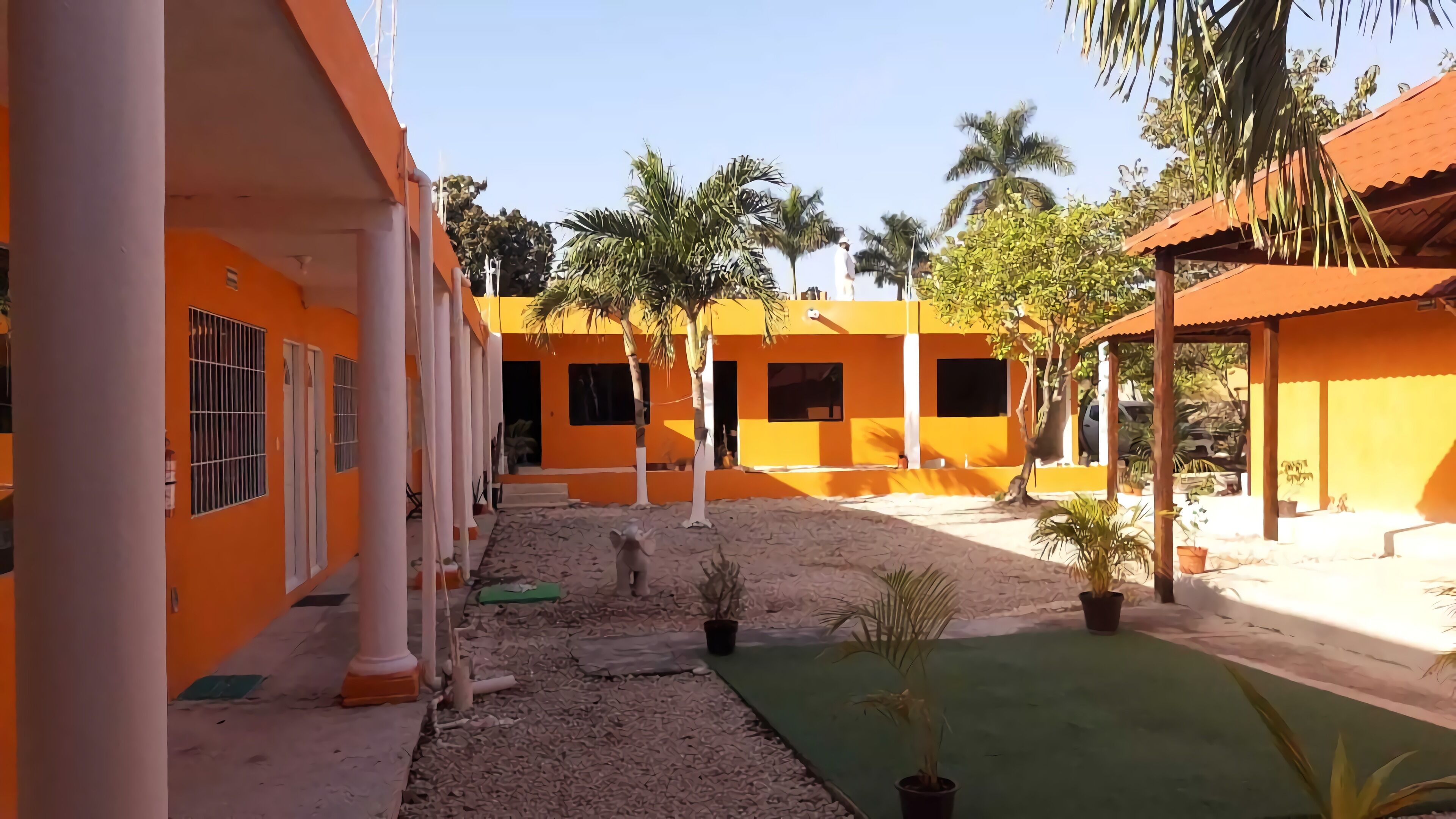 standard room, 1 queen bed | terrace/patio