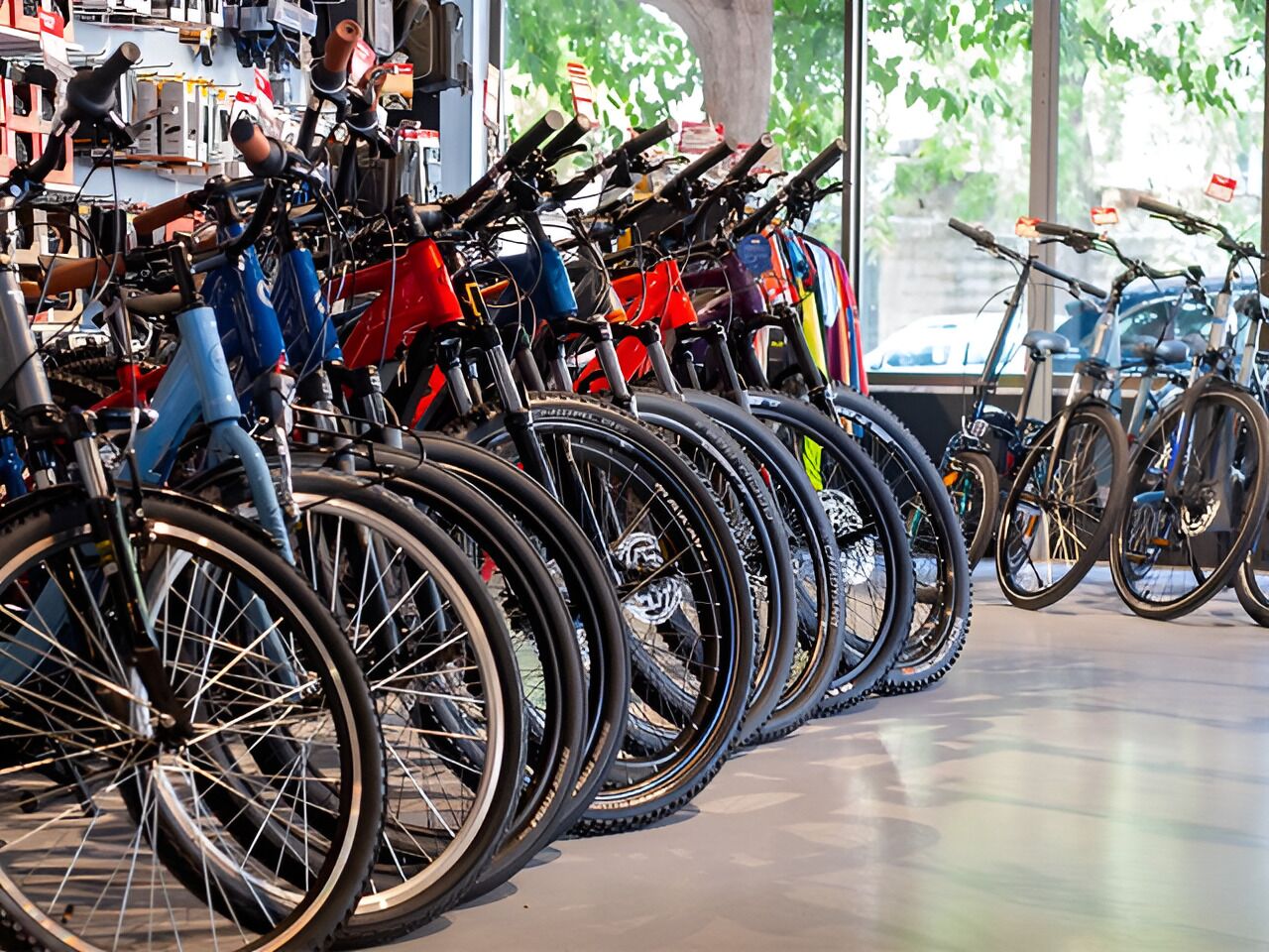 A row of bicycles in a store with a large window in the background.