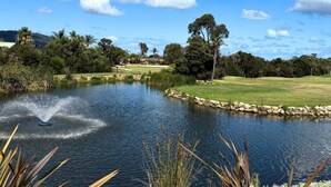 A serene landscape with a pond, grassy areas, and trees.