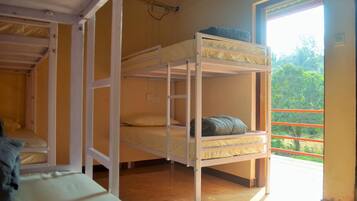 Basic Shared Dormitory | View from room