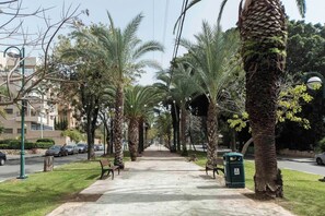 A tree-lined pathway with benches and a trash bin.