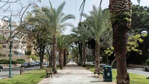 A tree-lined pathway with benches and a trash bin. - Modern 2BR Apt w Private Parking in City Center (Ramat HaSharon)