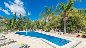 Una piscina rectangular amb aigua blava cristal·lina, envoltada de gandules i vegetació.