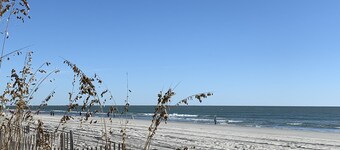 SNOW BIRDS..SPECIAL RATES FOR WINTER TRAVELS - A Fun, Sun N' Surfin' Kinda Place