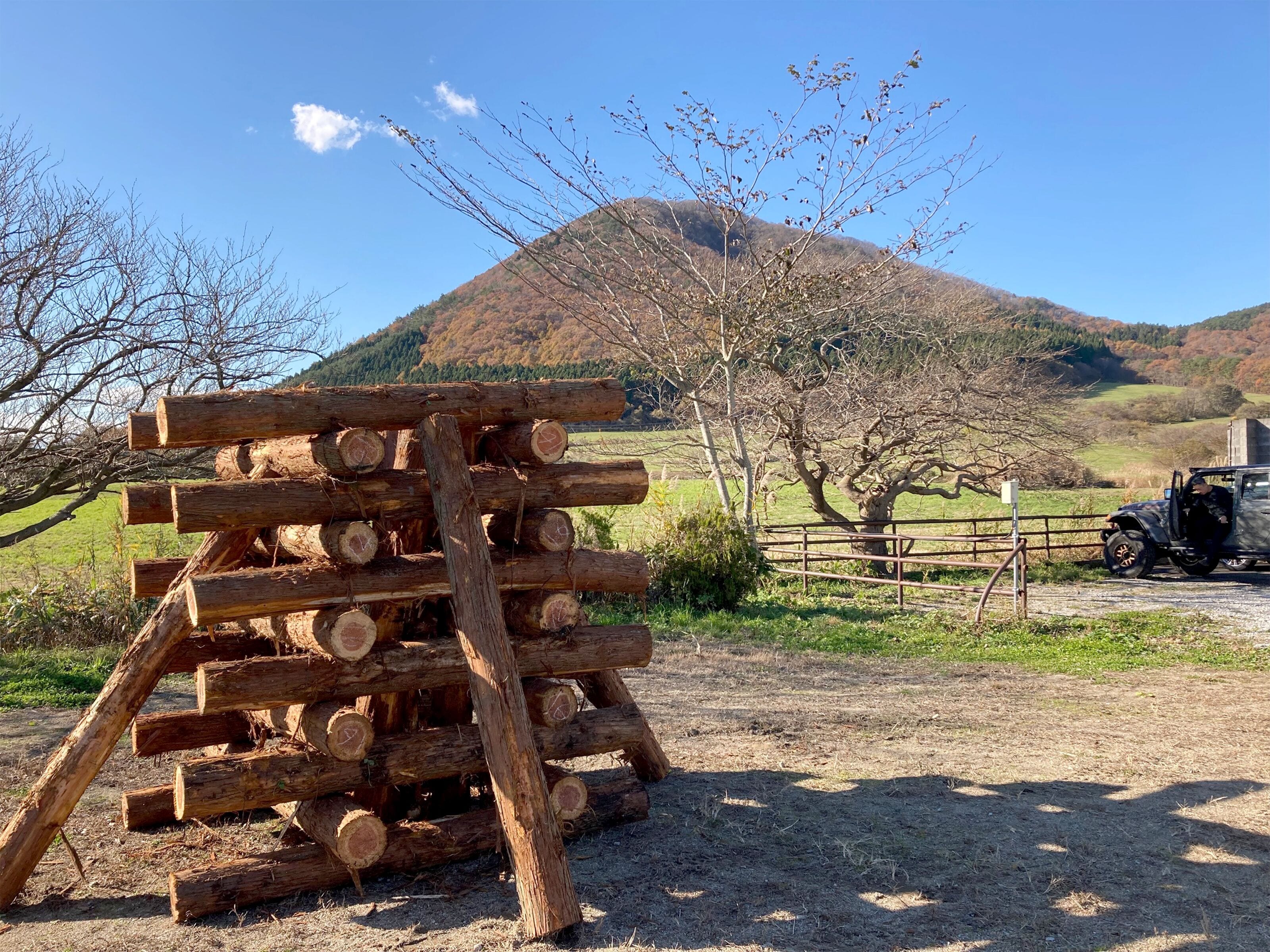 A stack of logs in a rural setting with a mountain in the background.